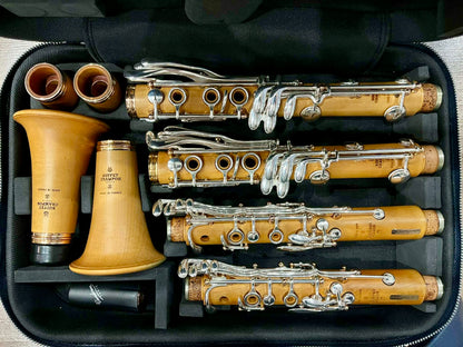 Mini Clarinet Double Case